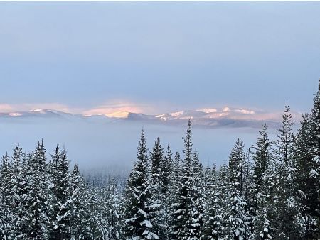 View from the Front Yard